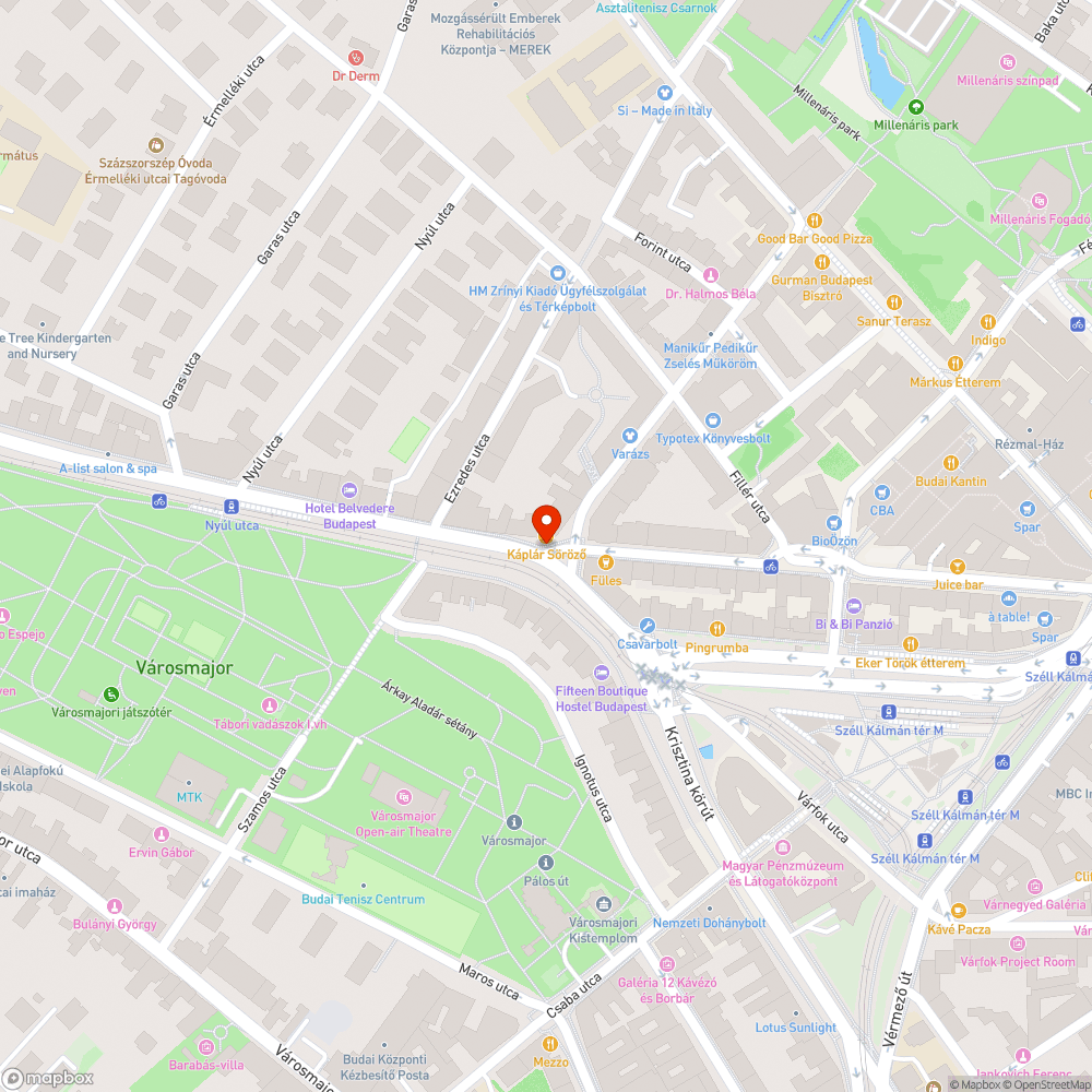 Szilágyi Erzsébet fasor - Retek utca kerékpáros borzalom bejelentés helye