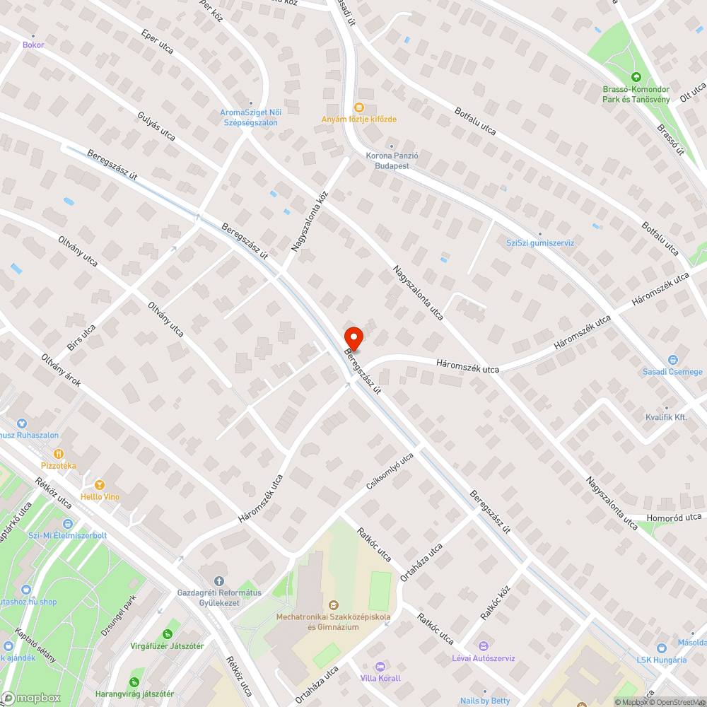 tönkrement szemetesek a Beregszász úton bejelentés helye