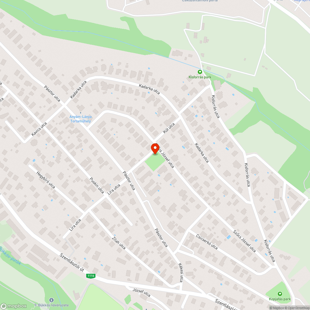 Macskaürülékes homokszórás és romos kerítés bejelentés helye