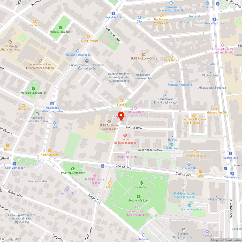 Járdát betakaró faágak a Nagy Jenő utcában bejelentés helye