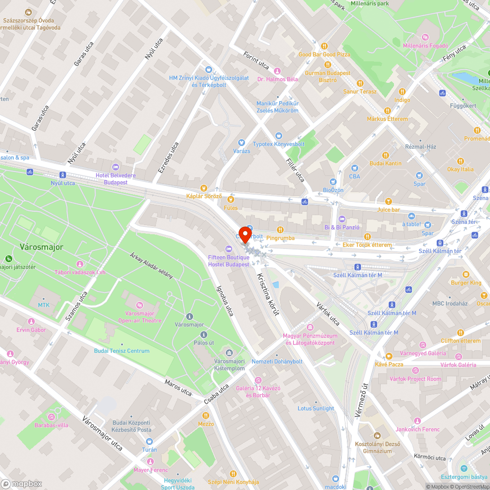 Eltömődő víznyelő a Széll Kálmán térnél bejelentés helye