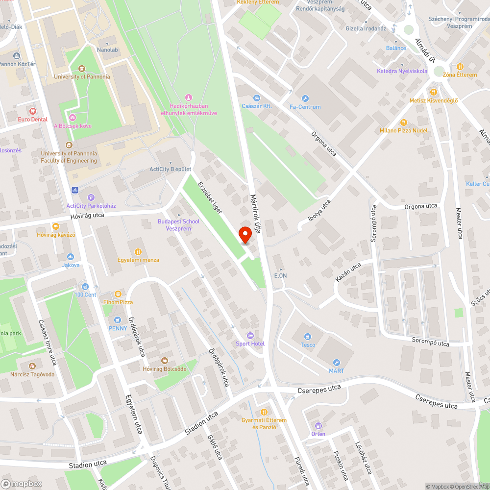 Környezet károsítás és károkozás  az Erzsébet ligetben bejelentés helye