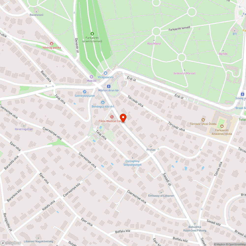 Elhagyott autó bejelentés helye