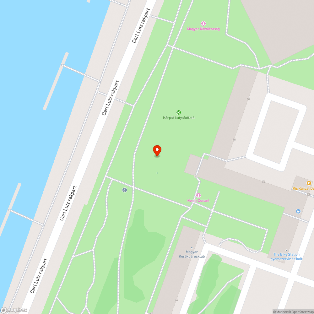 Kivágott fa a Carl Lutz rakparton bejelentés helye