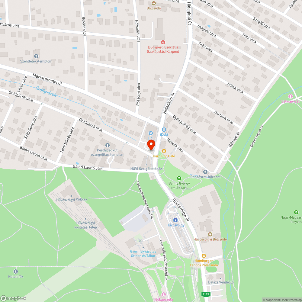 Kerékpárúton parkolás, kerékpárosok veszélyeztetése bejelentés helye