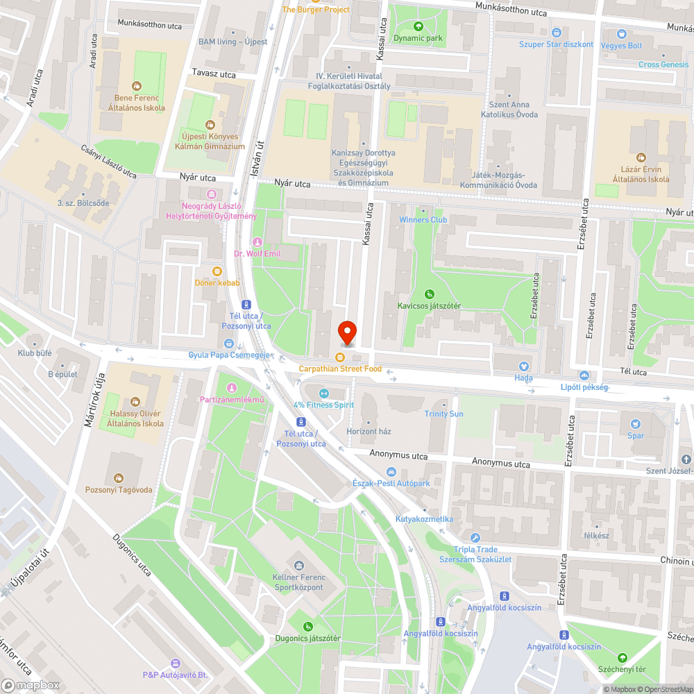 Elhanyagolt, parkolásra használt zöldterület a Tél utcában bejelentés helye