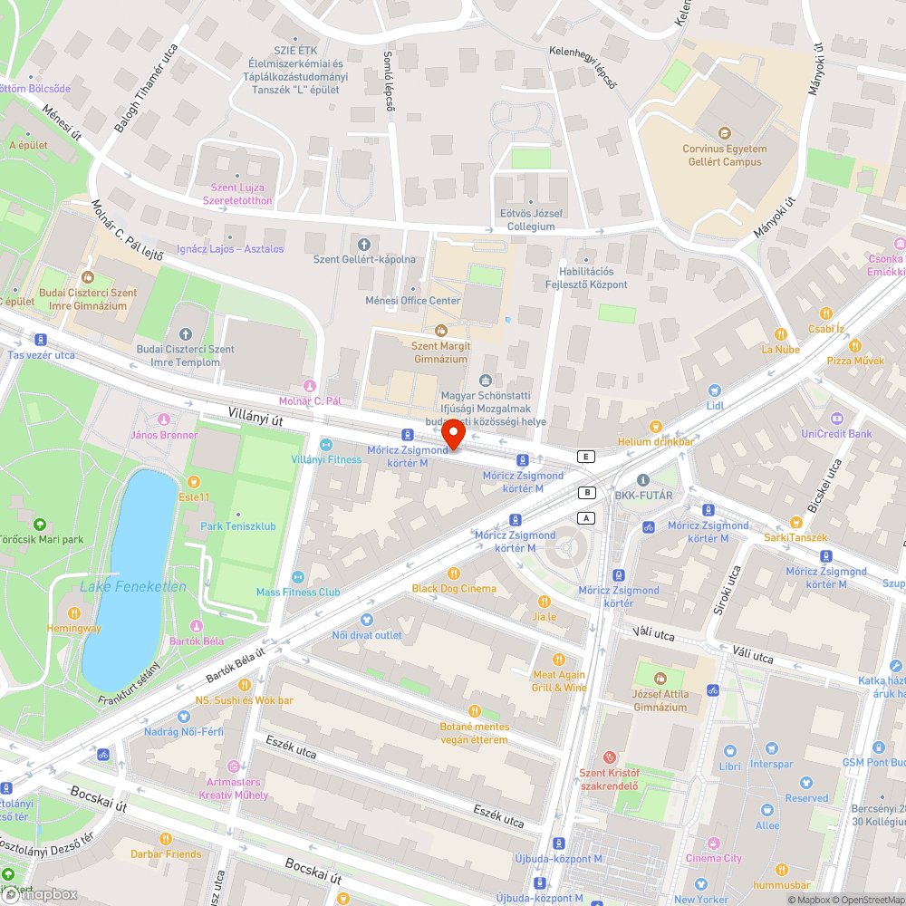 Rövidesen beszakadó víznyelő a Villányi út 4. előtt bejelentés helye