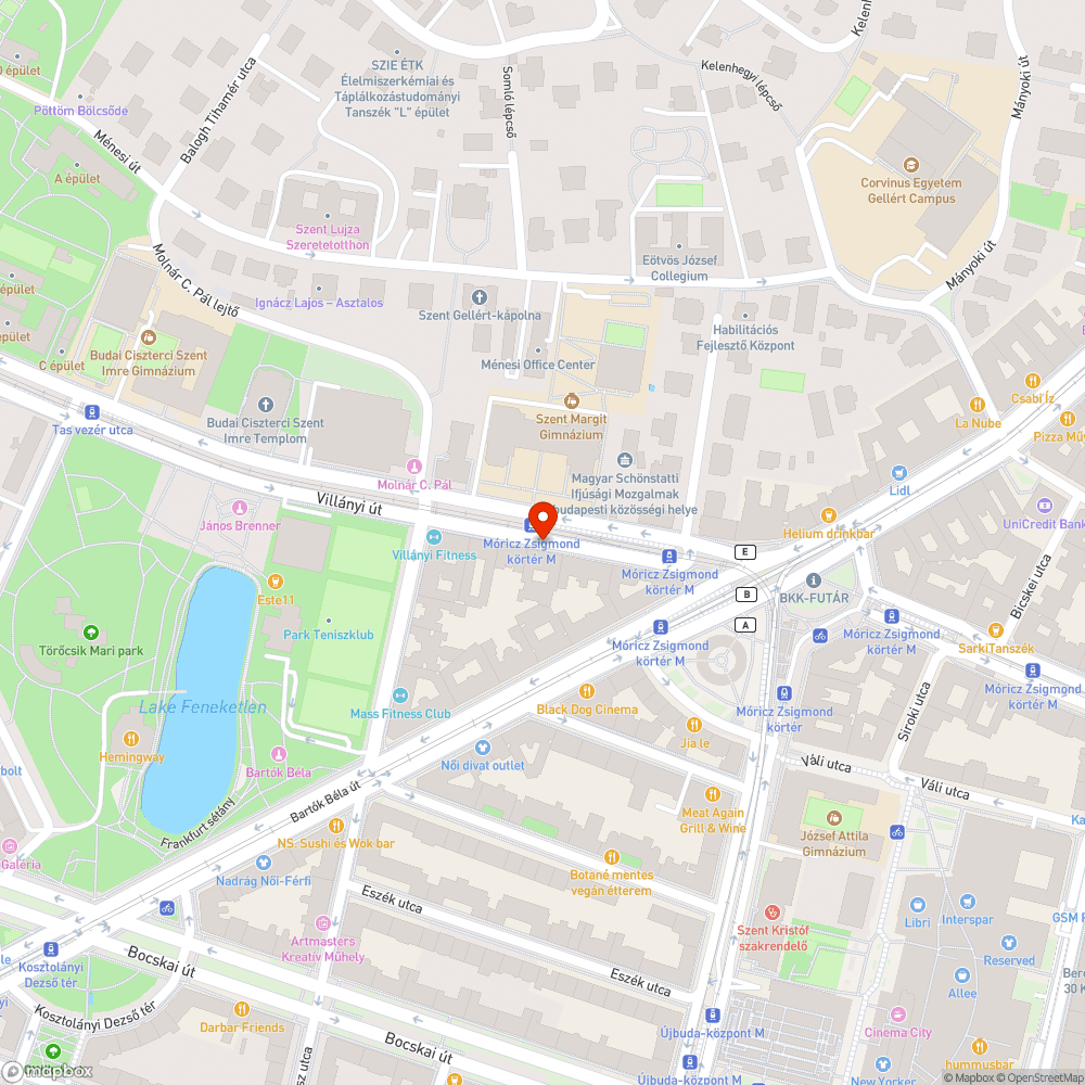 Lukas repedt fedlap a Villányi út 6 előtt bejelentés helye