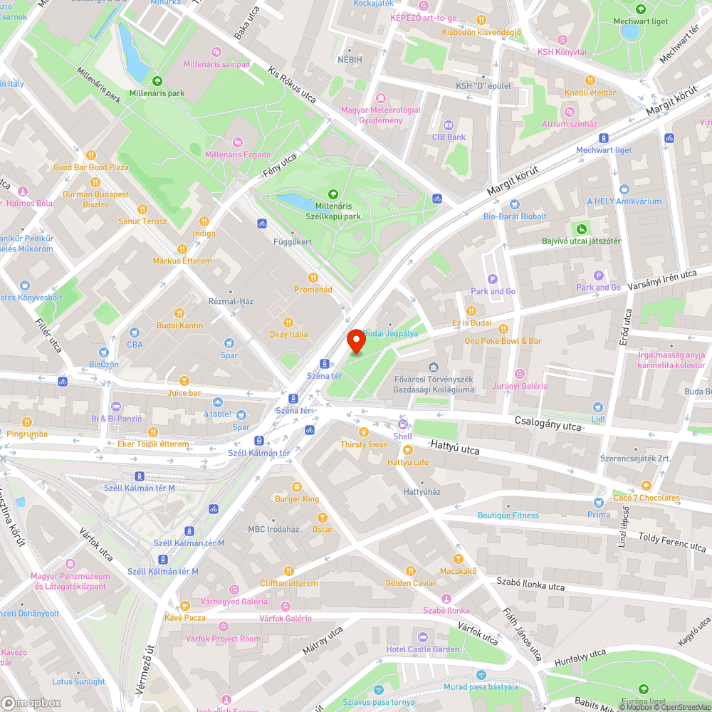 Kevesebb térkövet a Széna térre bejelentés helye