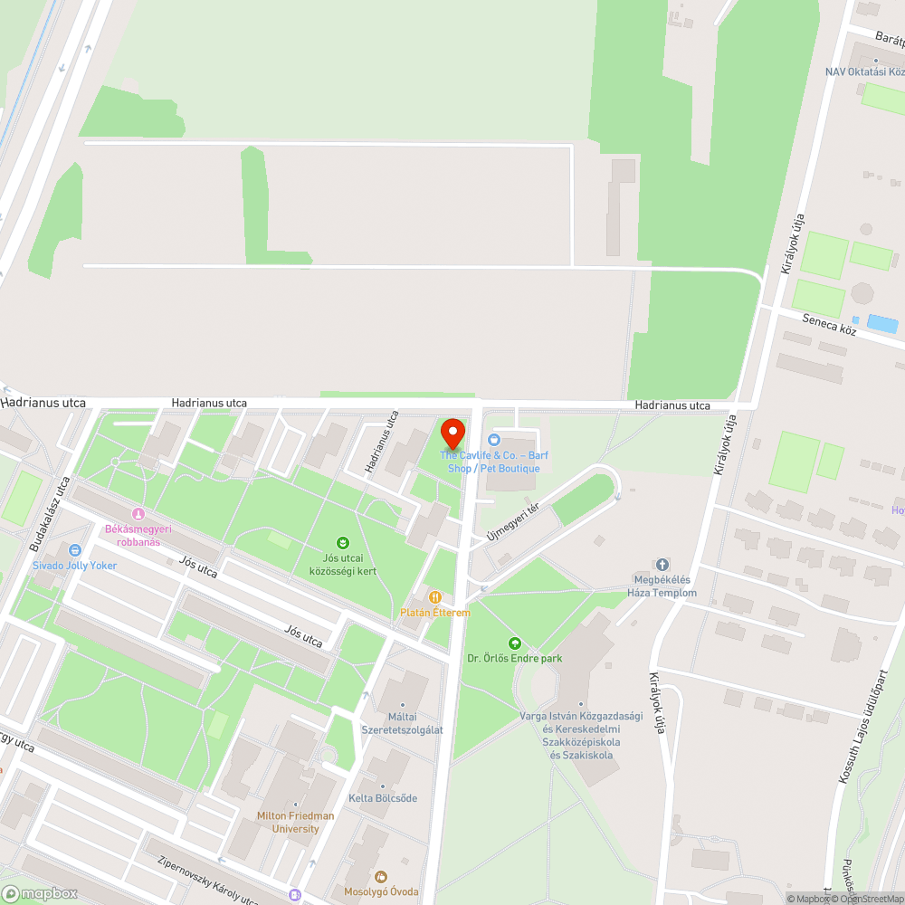 Leszakadt szemeteskuka a Hadrianus utca 7 előtt bejelentés helye