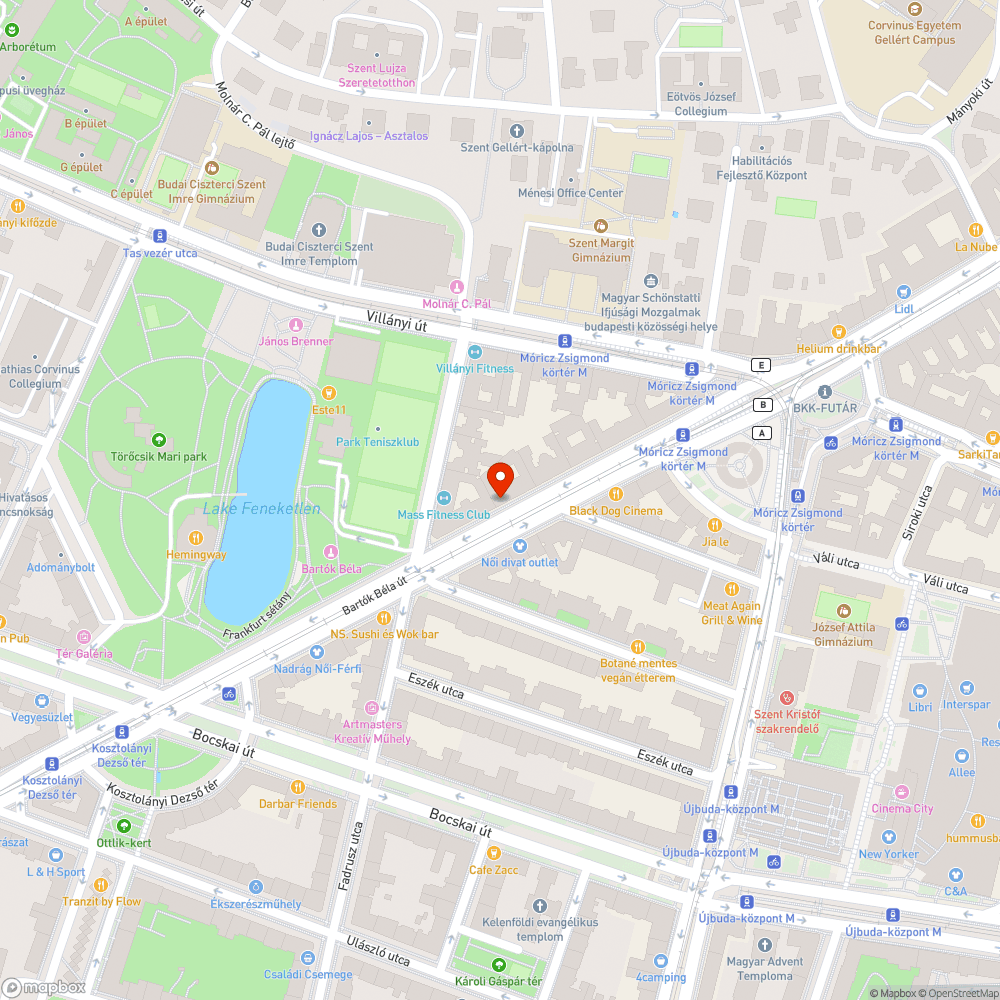 Kicsorduló szemetes bejelentés helye