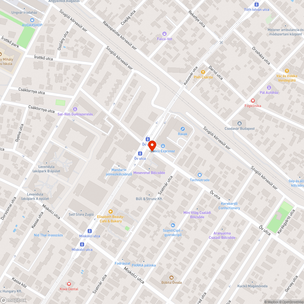 Kiszáradt fa a Mesevonat bölcsőde udvarán bejelentés helye