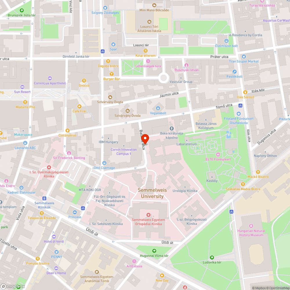 Lekopott mozgáskorlátozottak számára fenntartott hely jelölése bejelentés helye