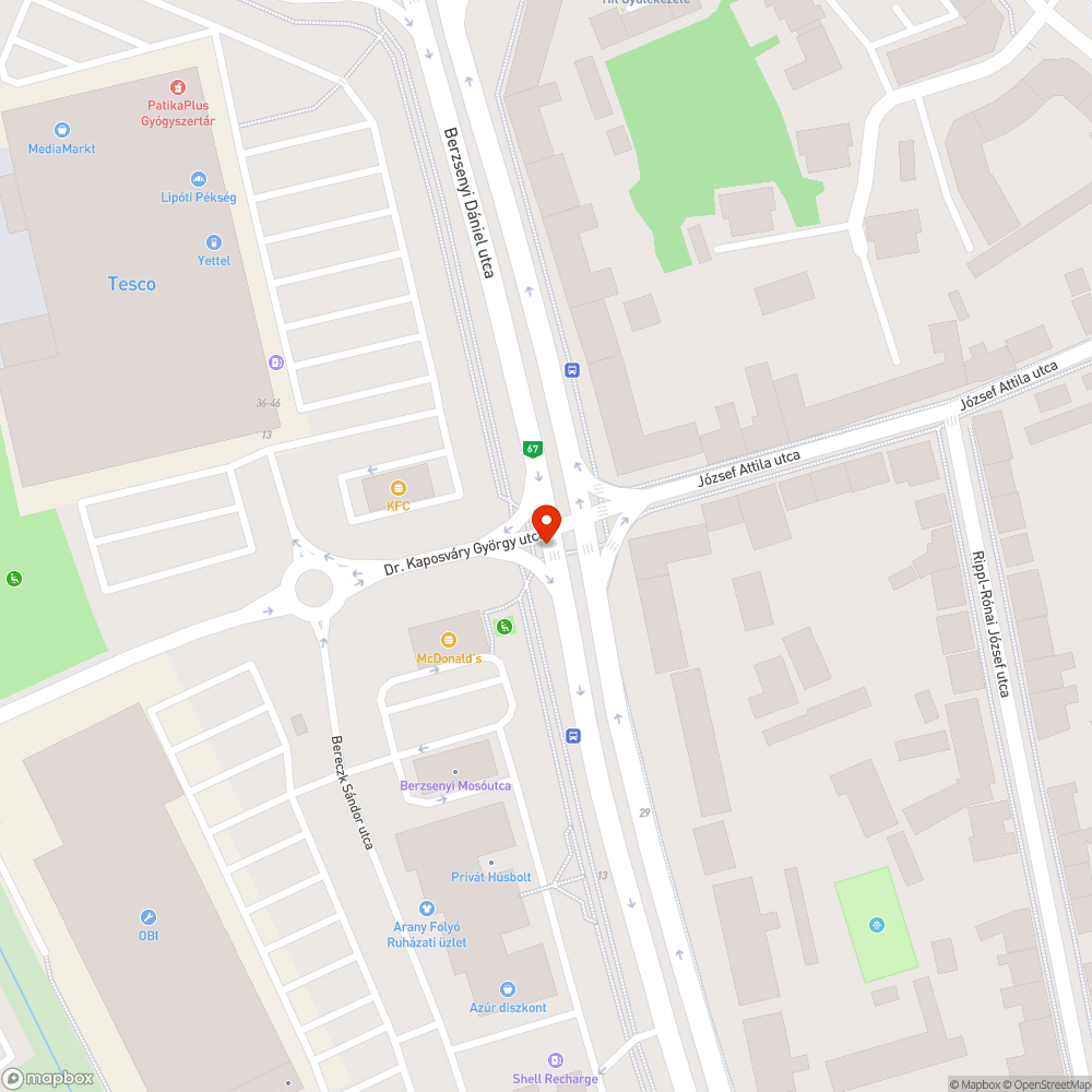 Kiszáradt fa, közműfedél körül hiányzó burkolat bejelentés helye