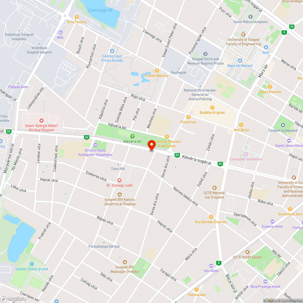 Elburjánzott növényzet, szeméttel teli WC bejelentés helye