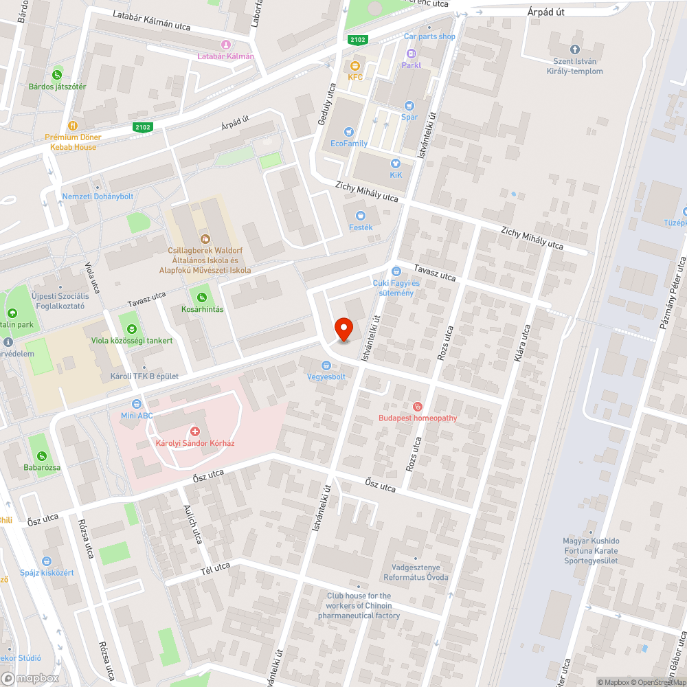 Leponyvázott, járásképtelen autó zöldterületen bejelentés helye