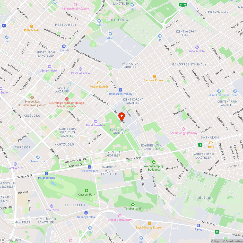 Elszórt szemét a parkolóban bejelentés helye