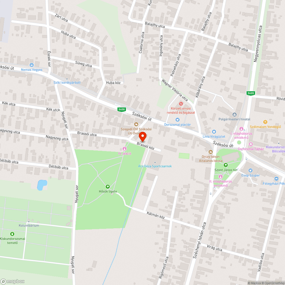 Hibás padok a kiskundorozsmai ligetben bejelentés helye