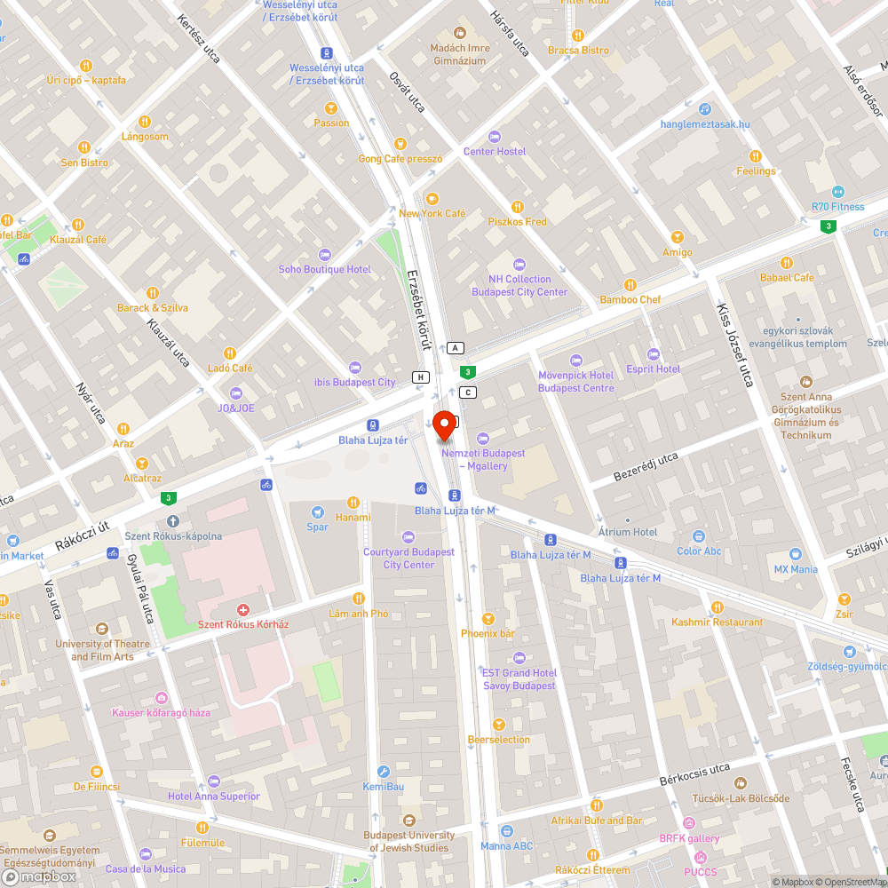 Állandóan szemetes villamosmegálló bejelentés helye