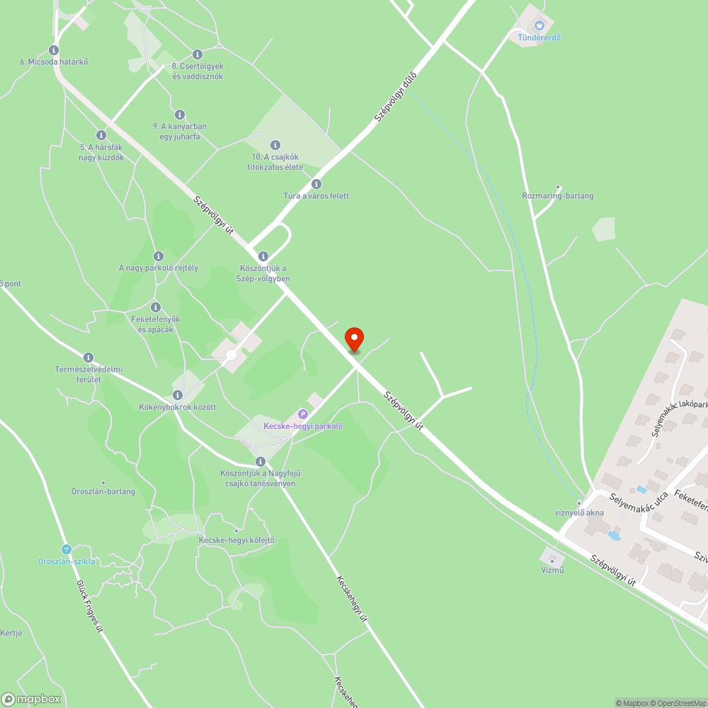 Szemétlerakás a Szépvölgyi út mellett bejelentés helye