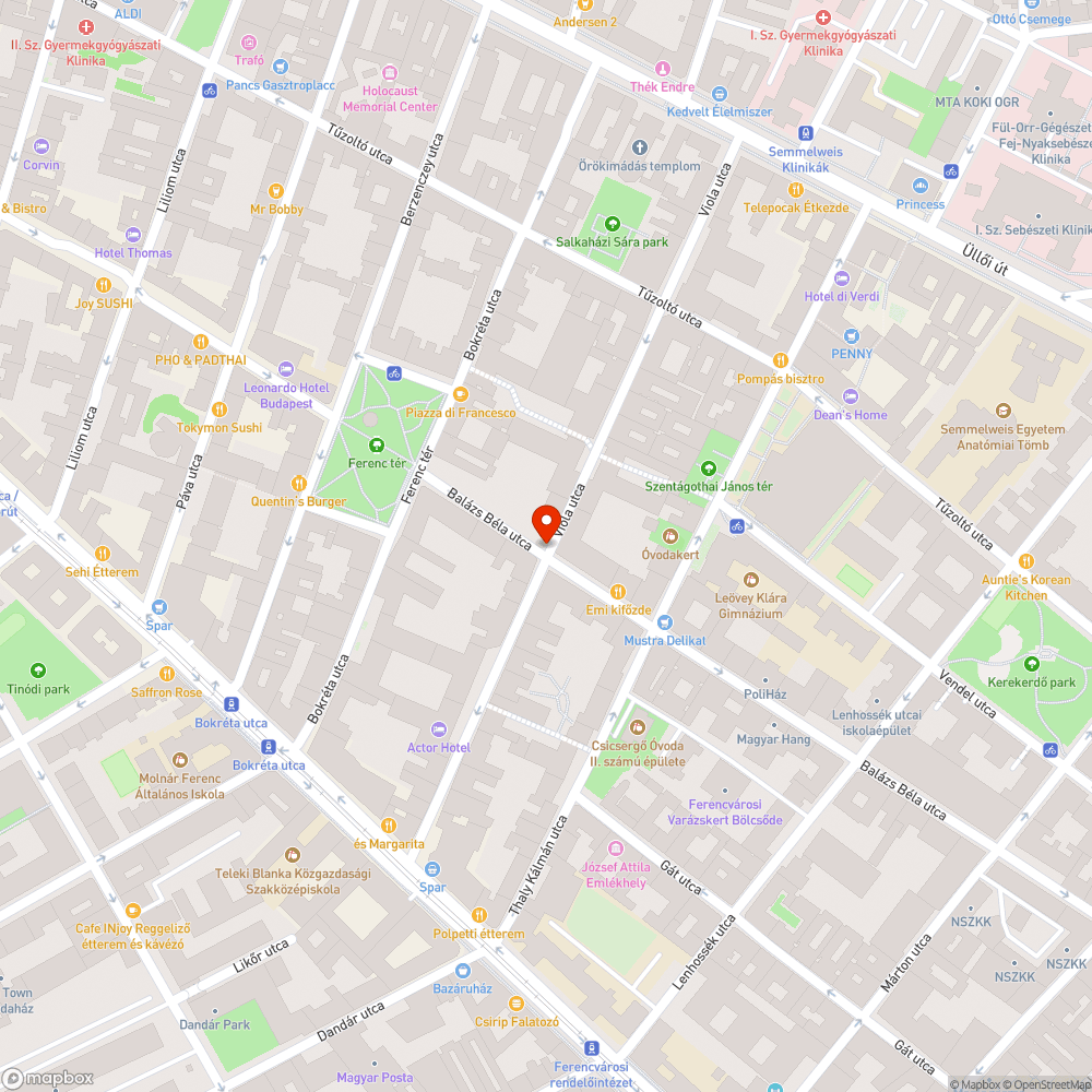 Túlterhelt szemetes a Balázs Béla utcában bejelentés helye