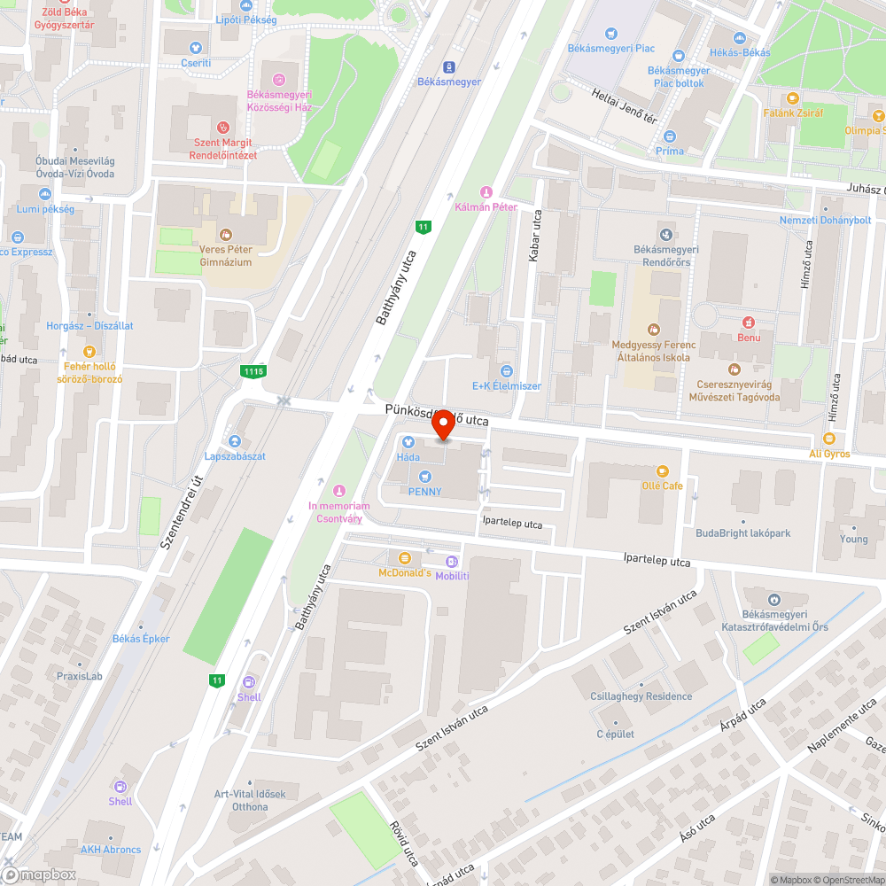 Kiszáradt, életveszélyes fa bejelentés helye