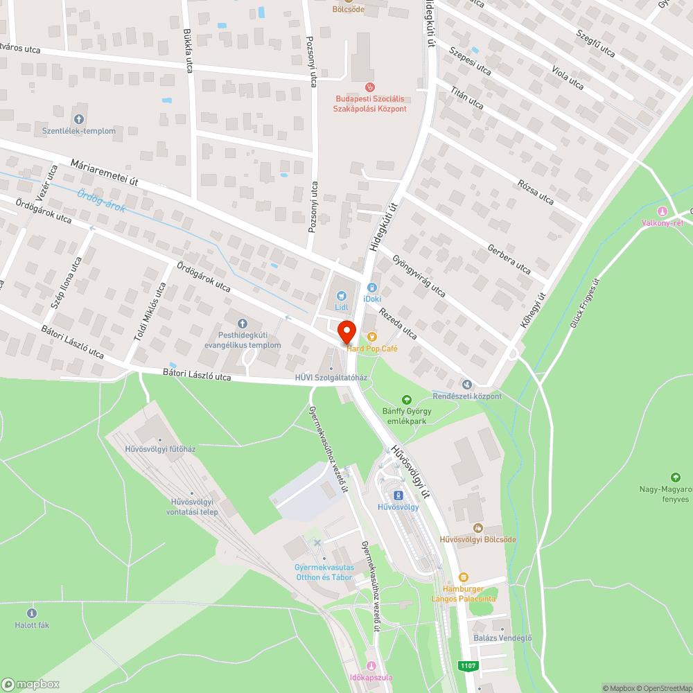 Lekopott zebra a Hüvi mellett bejelentés helye