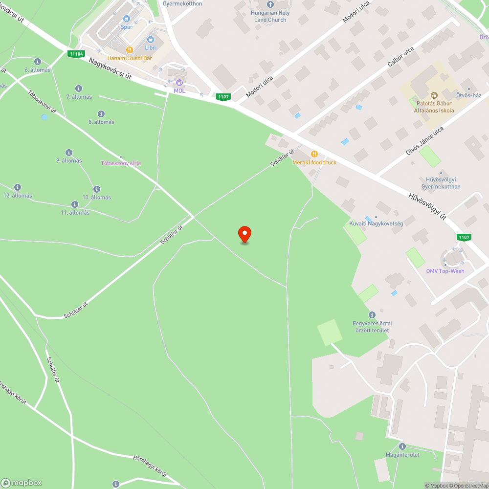 Hárshegy oldalában nagy területen szétszórt szemét bejelentés helye