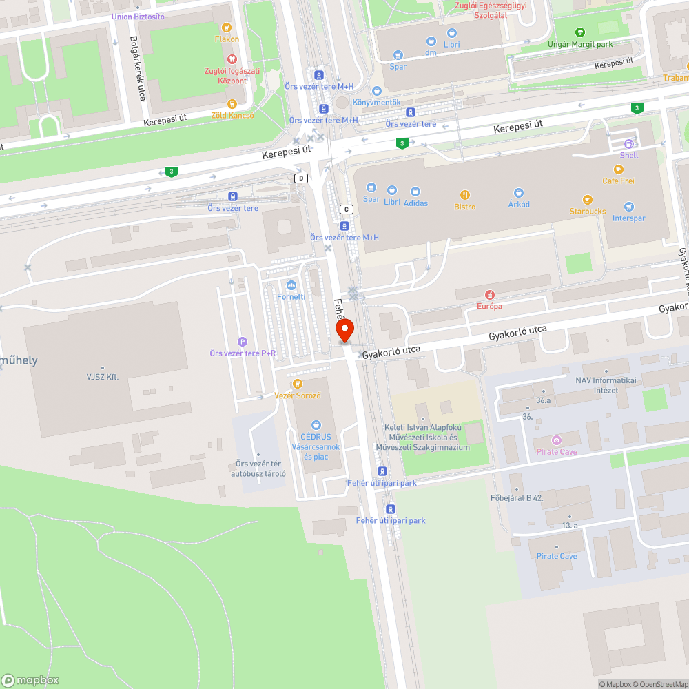 Lekopott zebra az Örsön bejelentés helye