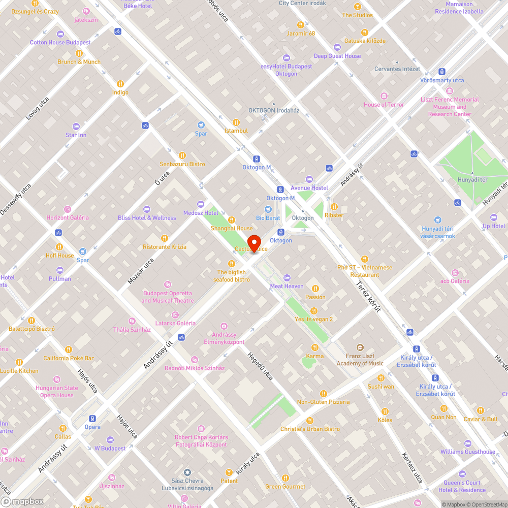 Útburkolati hiba az Andrássy úton bejelentés helye