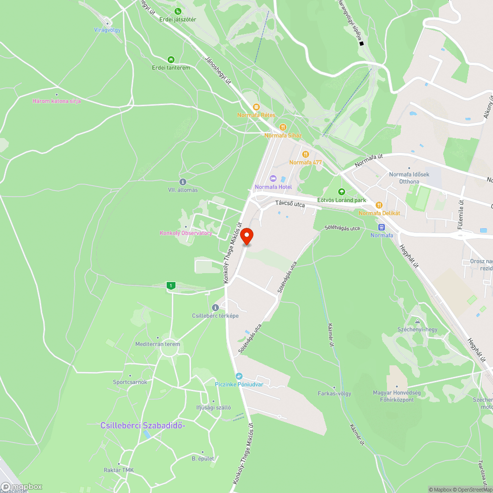 Sitt a Gyerekvasút melletti erdőben bejelentés helye