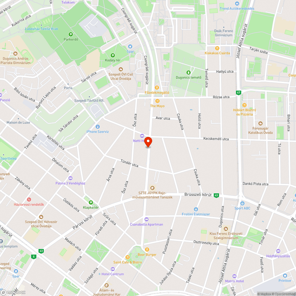 Lekopott felfestés, koszos, poros kerékpár sáv bejelentés helye