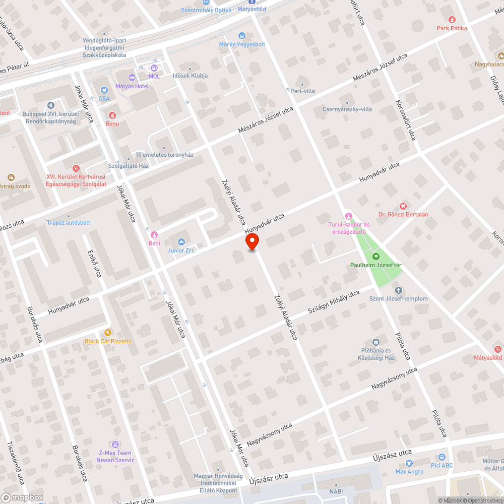 Takarítatlan önkormányzati tulajdonú járda bejelentés helye