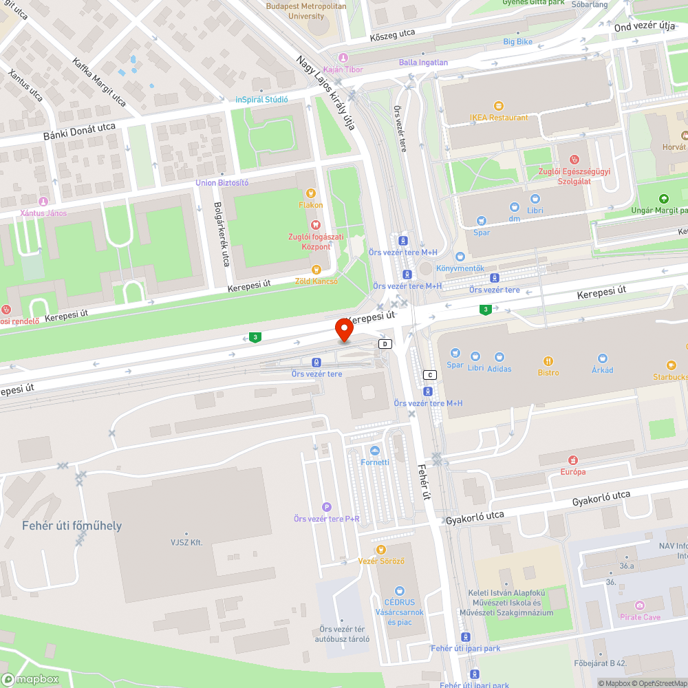 Szemetesek tele bejelentés helye