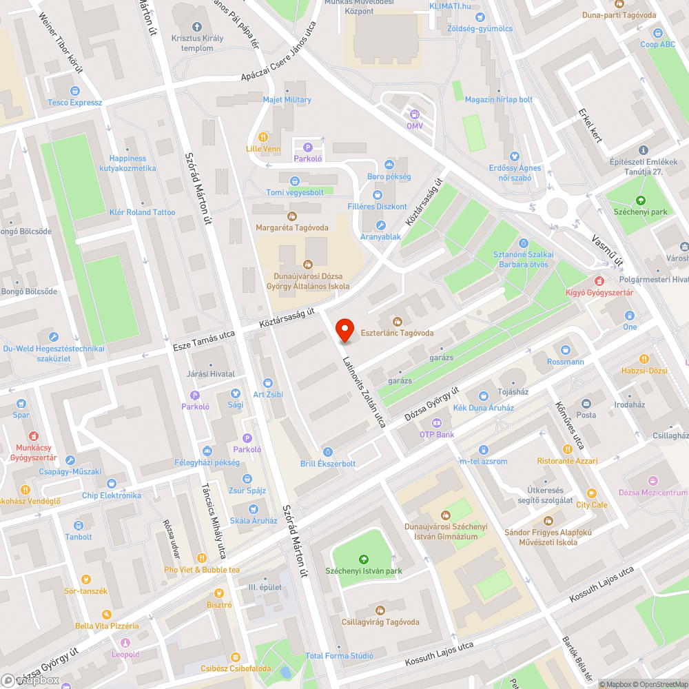 duzzasztott pocsolya bejelentés helye