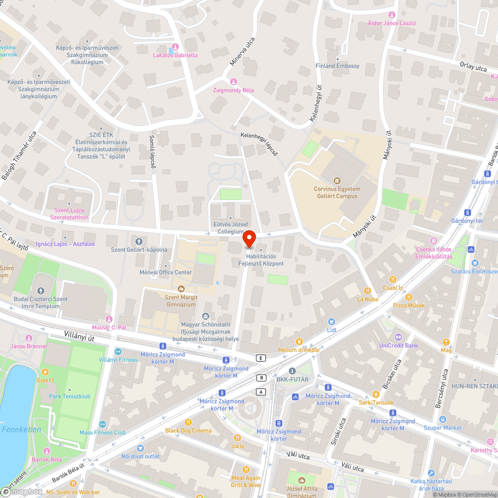 Kidöntött kuka a Himfy utcában bejelentés helye