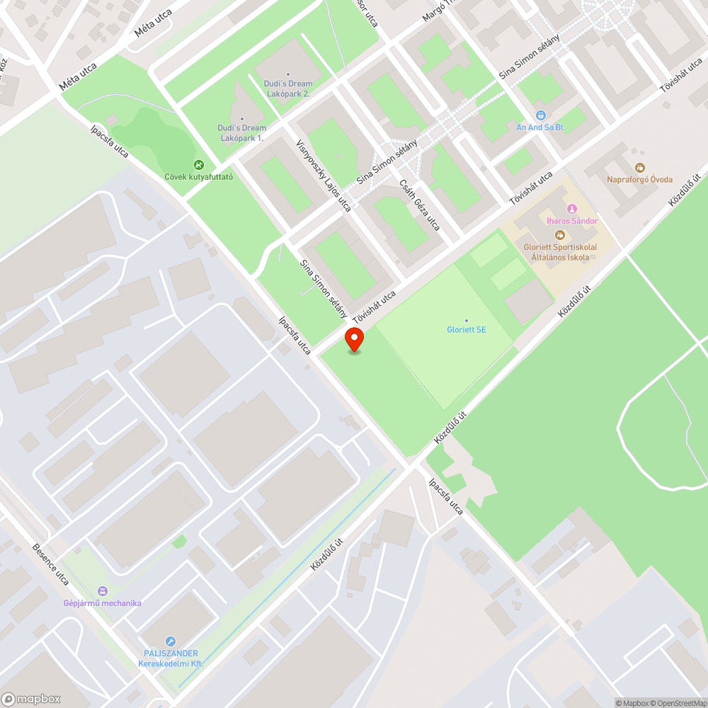 Elpusztult macska az iskola mellett bejelentés helye