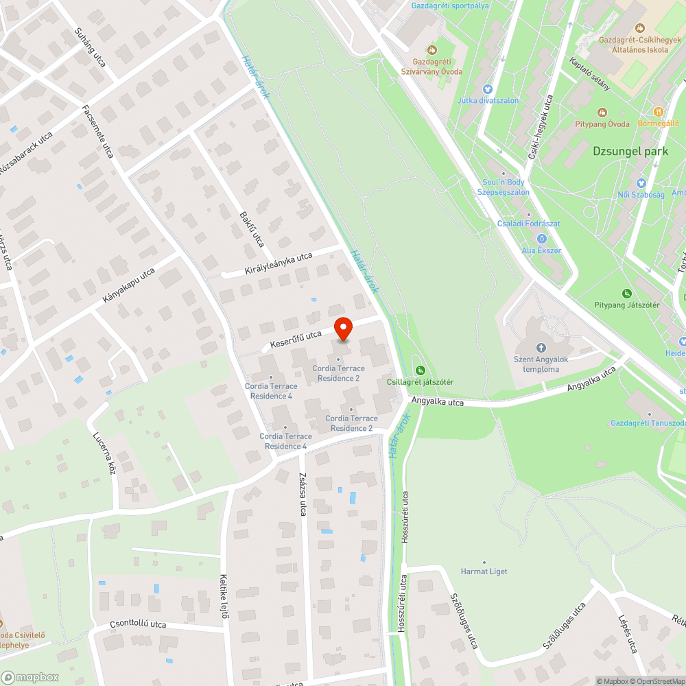 Roskadásig teletömött köztéri kuka bejelentés helye