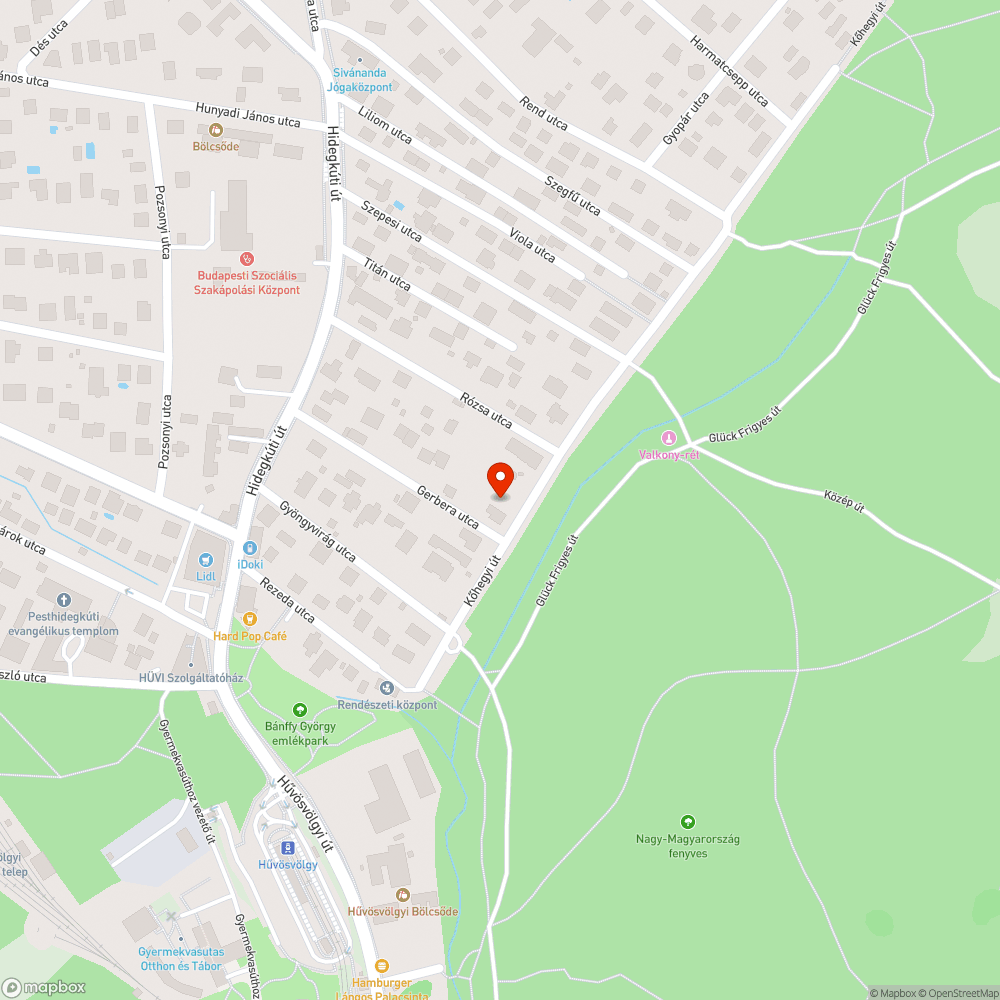 Menekülőútvonalként használják a Kőhegyi úti kerékpárútat bejelentés helye