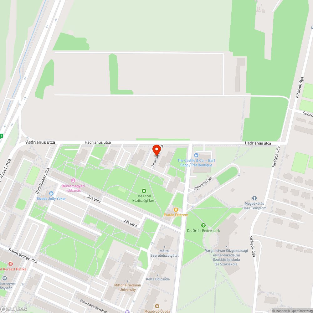 Kátyúrengeteg bejelentés helye