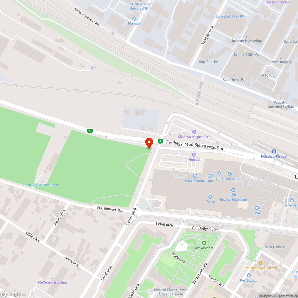 Bp., Regina köz 1-nél a kiserdőben szemét hegy bejelentés helye