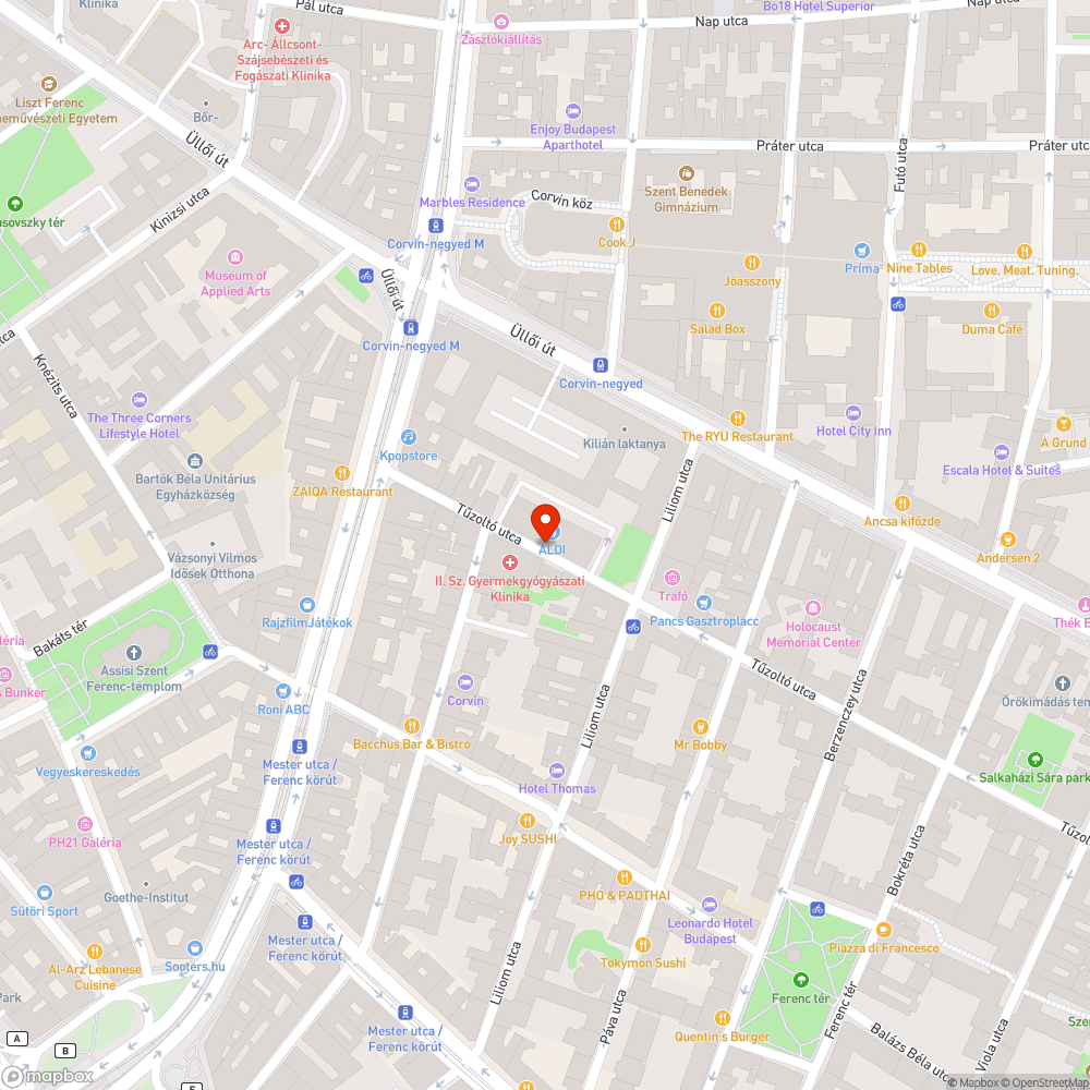 Elszórt szemét a tűzoltó utcában bejelentés helye