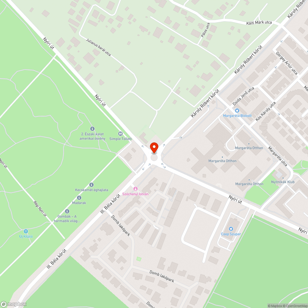 Olaj folyt az úttestre, járdára, bicikis átkelőhelyre az arborétumnál bejelentés helye