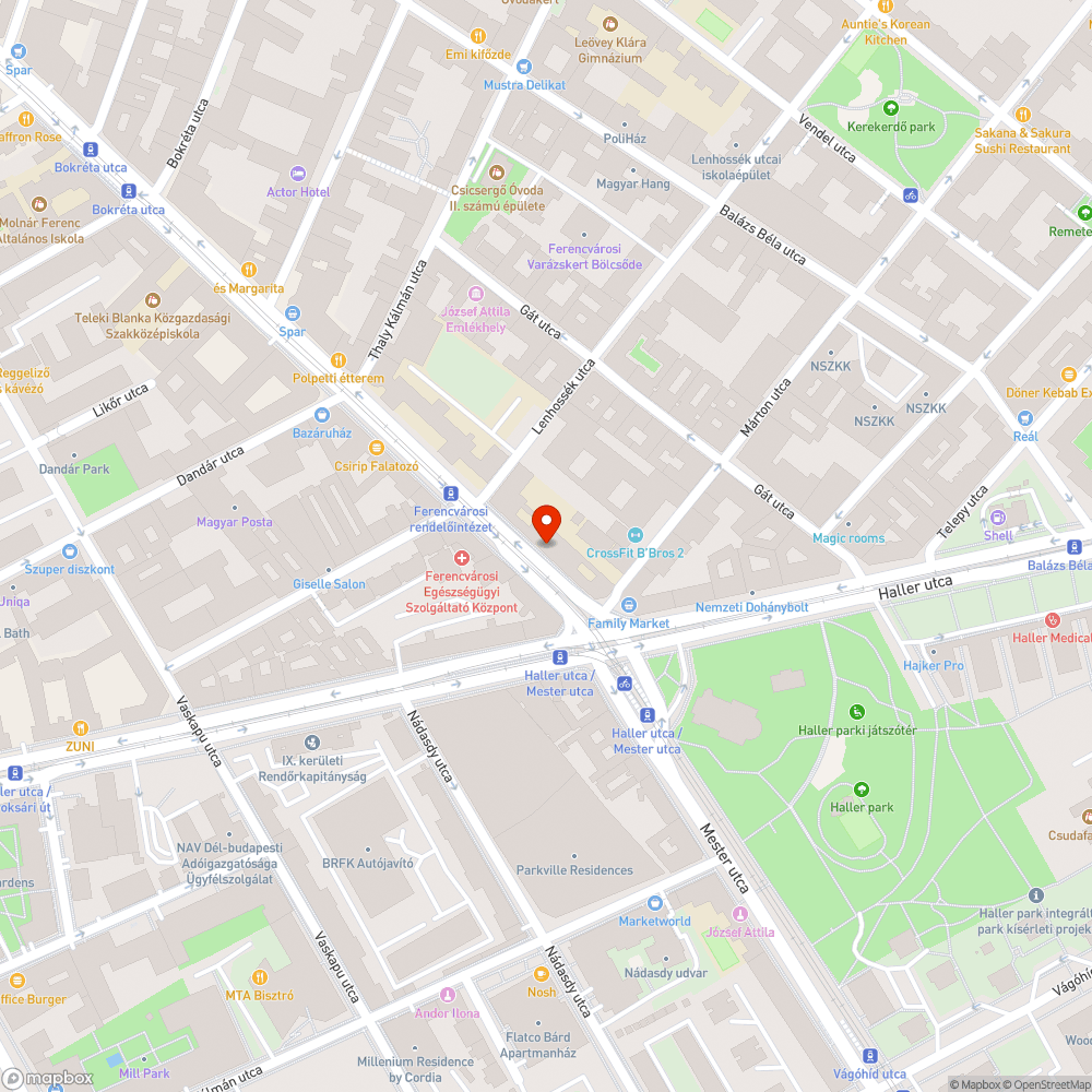 IX. kerület Mester utca 60. Parkoló helyek nincsenek takarítva bejelentés helye