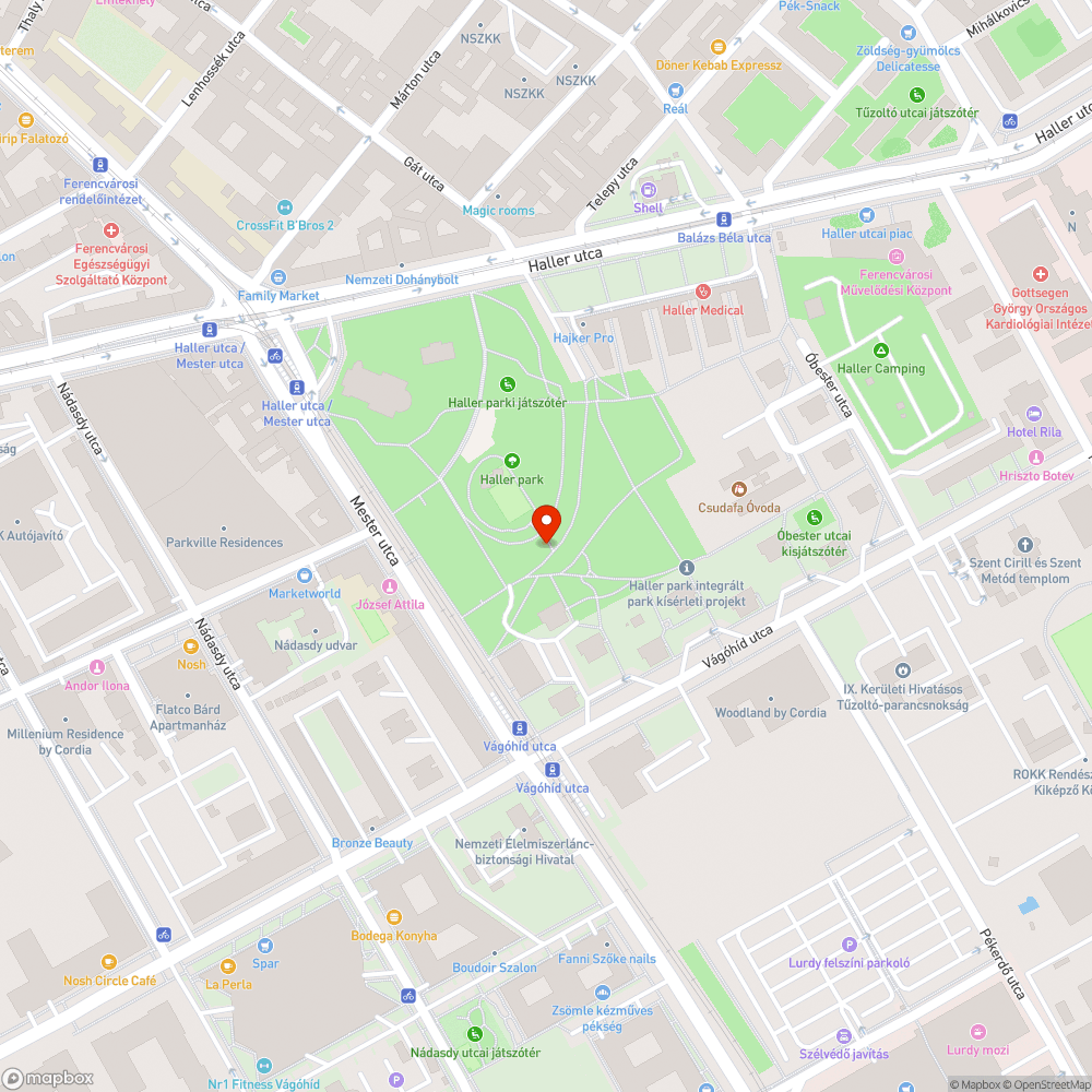 Baleset veszélyes a Haller Park, az egyik fa félig letört bejelentés helye