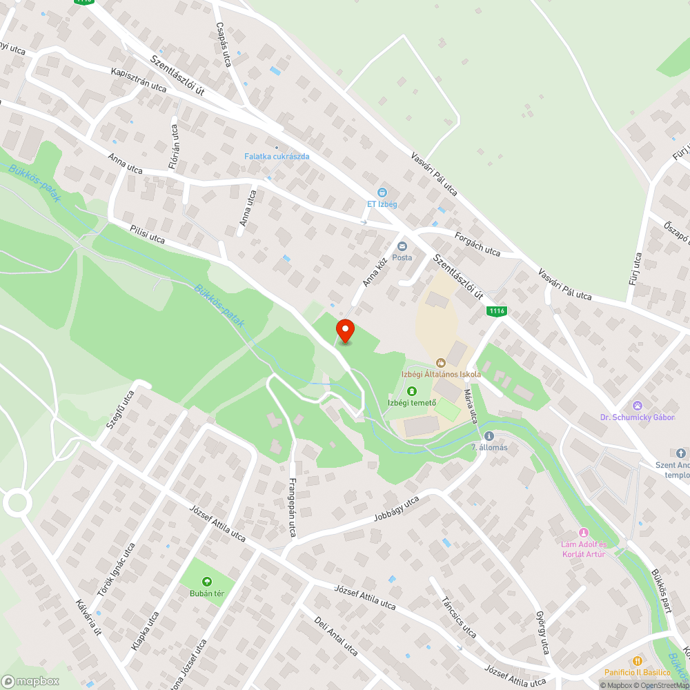 Megtelt szemetes a Pilisi utcában bejelentés helye