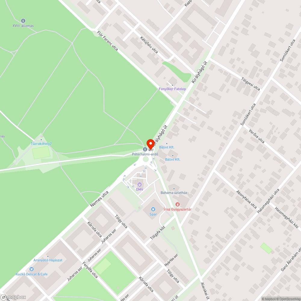 Már megint kátyúk az Alacskai úti körforgalomnál bejelentés helye