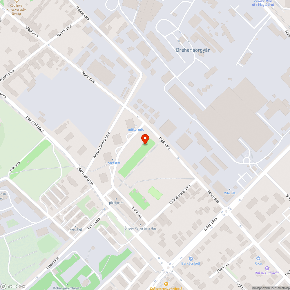 Elhanyagolt, veszélyes kutyafuttató bejelentés helye