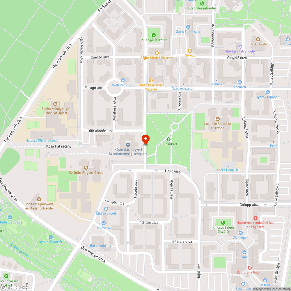 Külföldi rendszámú autó bejelentés helye