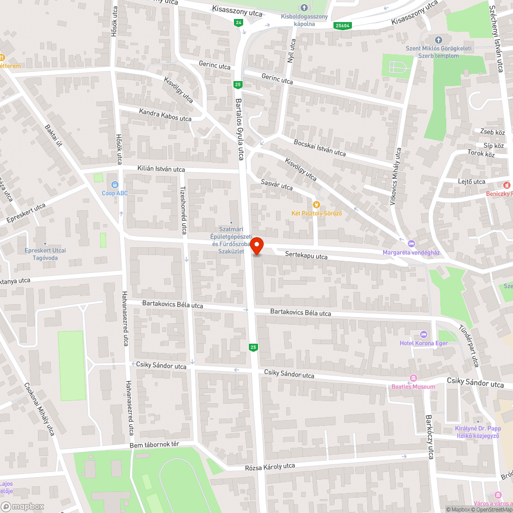 Veszélyes kátyúk bejelentés helye